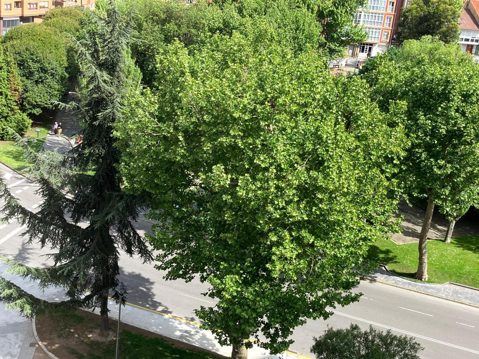 El Balcoen De Aviles, Acogedor Con Garaje En Centro Historico, Εξωτερικό φωτογραφία